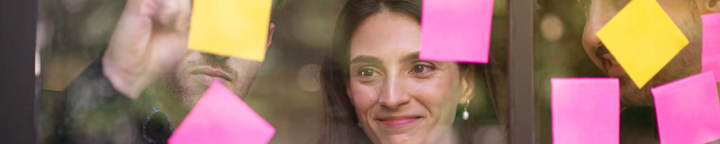 Harmony and Collaboration between employees | NFP ie HR
