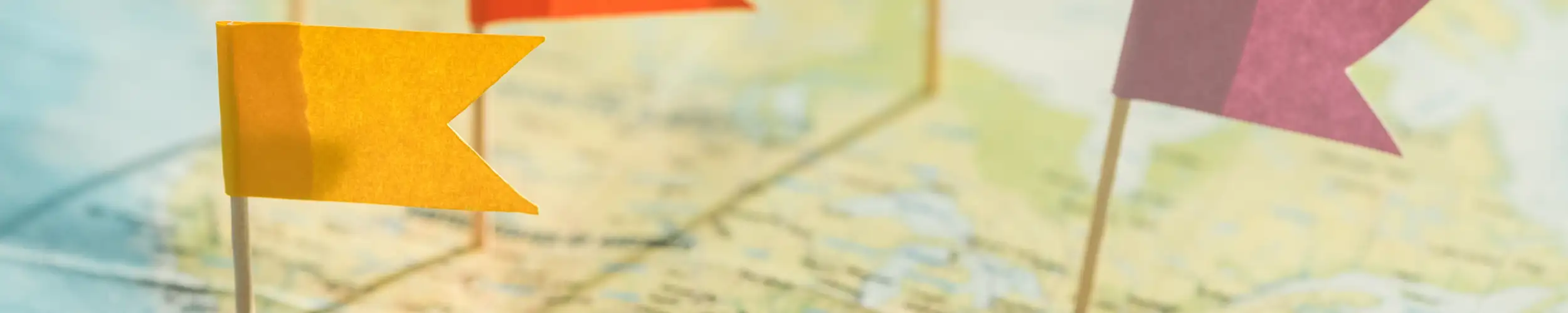 Map With Flags NFP Tour Operators And Travel Agents Insurance Ireland