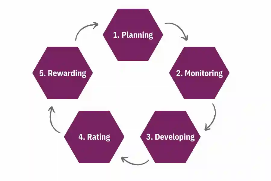 performance management cycle